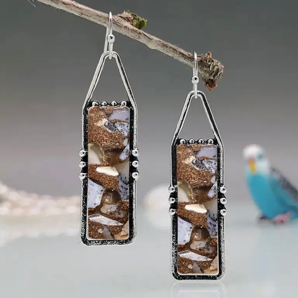 Jewelry - Silver and Brown Geometric Dangle Earrings